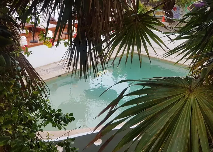 Tropical Hotel 2*